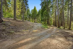 22929 Missouri Ridge, Nevada City, CA 95959 - Photo 53