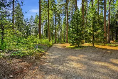 22929 Missouri Ridge, Nevada City, CA 95959 - Photo 55