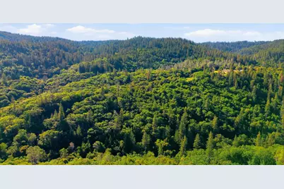 16429 Vierra Road, Browns Valley, CA 95972 - Photo 15