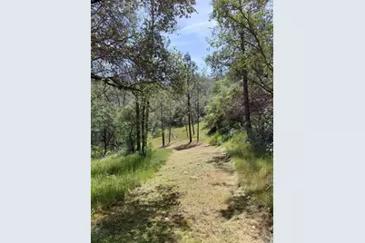 0 Swedes Flat Road, Bangor, CA 95966 - Photo 21