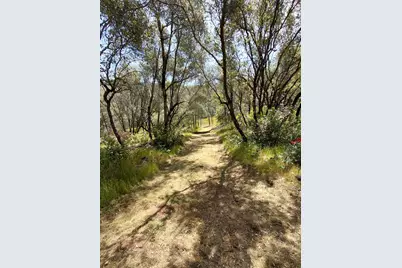 0 Swedes Flat Road, Bangor, CA 95966 - Photo 7
