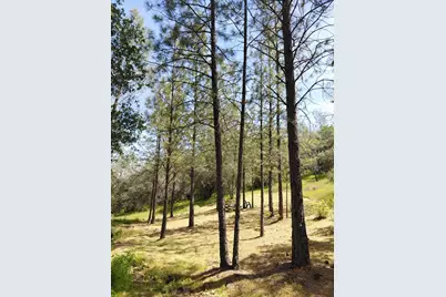 0 Swedes Flat Road, Bangor, CA 95966 - Photo 25