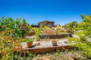 6920 Pano Ln, Somerset, CA 95684 - Photo 31