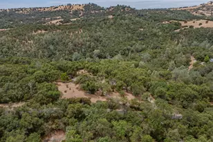 3011 Golden Gate Dr, San Andreas, CA 95249 - Photo 53