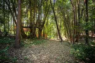 6251 Merry Way, Clipper Mills, CA 95930 - Photo 51