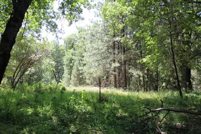 21785 Hwy 26, West Point, CA 95255 - Photo 5