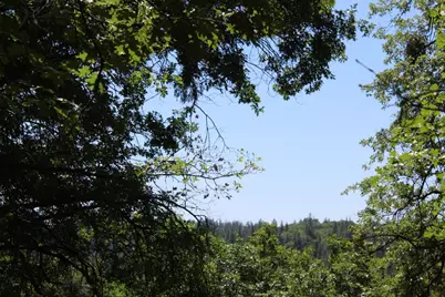 21785 Hwy 26, West Point, CA 95255 - Photo 7