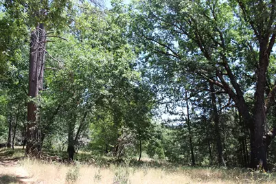 21785 Hwy 26, West Point, CA 95255 - Photo 13