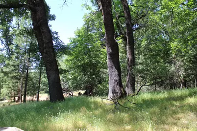 21785 Hwy 26, West Point, CA 95255 - Photo 11