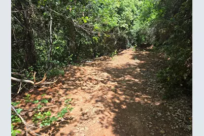 0 Maple Springs Trail, Dobbins, CA 95935 - Photo 13