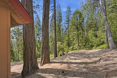 3076 Forest Lane, Arnold, CA 95223 - Photo 29