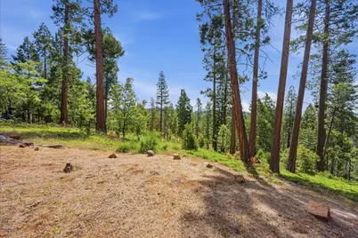 3076 Forest Lane, Arnold, CA 95223 - Photo 39