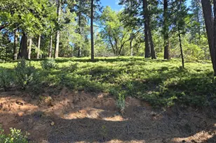 2964 Murphys Dr, Arnold, CA 95223 - Photo 1