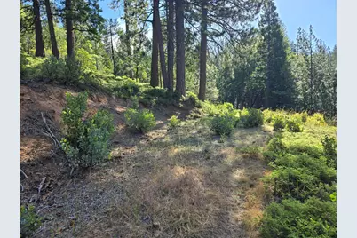 2964 Murphys Drive, Arnold, CA 95223 - Photo 3