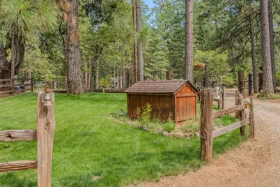 23823 Shake Ridge Rd, Volcano, CA 95689 - Photo 7