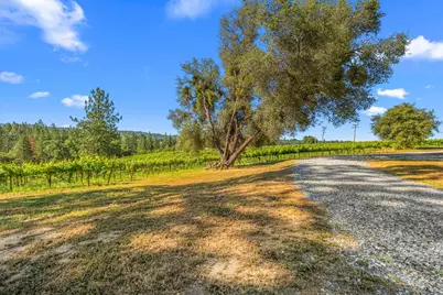 7330 Perry Creek Road, Somerset, CA 95684 - Photo 51