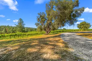 7330 Perry Creek Rd, Somerset, CA 95684 - Photo 51