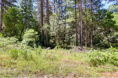 17390 Skyland Road, Nevada City, CA 95959 - Photo 7