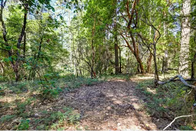 17390 Skyland Road, Nevada City, CA 95959 - Photo 3