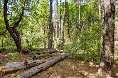 17390 Skyland Road, Nevada City, CA 95959 - Photo 9