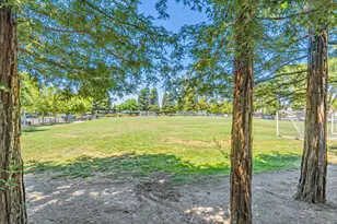 837 Lake Terrace Cir, Davis, CA 95616 - Photo 15