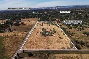 301 Drescher Tract Rd, Palermo, CA 95968 - Photo 1