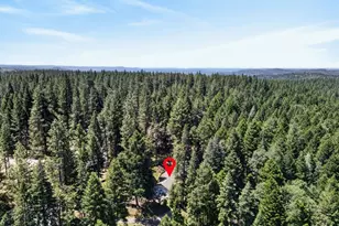 5666 Columbine Way, Pollock Pines, CA 95726 - Photo 29