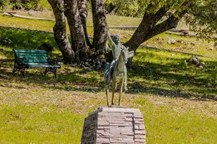 22401 Volcano Hills Rd, Pioneer, CA 95666 - Photo 41