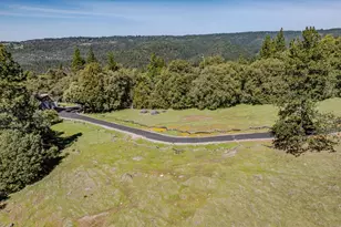 22401 Volcano Hills Rd, Pioneer, CA 95666 - Photo 39