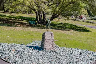 22401 Volcano Hills Rd, Pioneer, CA 95666 - Photo 41