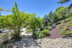 3807 Coldwater Dr, Rocklin, CA 95765 - Photo 33