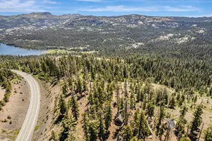 47390 State Hwy 88, Pioneer, CA 95666 - Photo 37