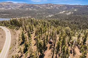47390 State Hwy 88, Pioneer, CA 95666 - Photo 53