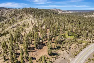 47390 State Hwy 88, Pioneer, CA 95666 - Photo 51
