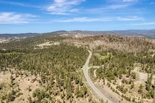 47390 State Hwy 88, Pioneer, CA 95666 - Photo 49