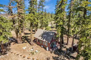 47390 State Hwy 88, Pioneer, CA 95666 - Photo 45