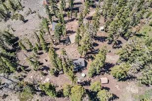 47390 State Hwy 88, Pioneer, CA 95666 - Photo 43