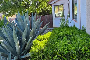 4749 Porto Pino Way, Antelope, CA 95843 - Photo 37