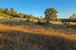 10306 Canyon Creek Ln, Penn Valley, CA 95946 - Photo 1
