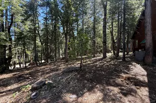 13560 Serpentine Way, Nevada City, CA 95959 - Photo 23