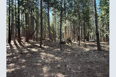 13560 Serpentine Way, Nevada City, CA 95959 - Photo 29