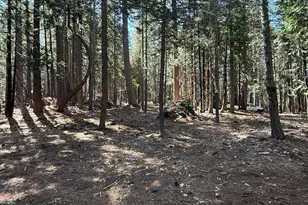 13560 Serpentine Way, Nevada City, CA 95959 - Photo 29