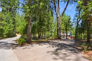 250 Secret Town Ln, Colfax, CA 95713 - Photo 47