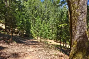 250 Secret Town Ln, Colfax, CA 95713 - Photo 53