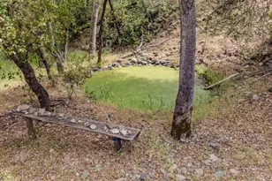 8531 Sheep Ranch Rd, Mountain Ranch, CA 95246 - Photo 39