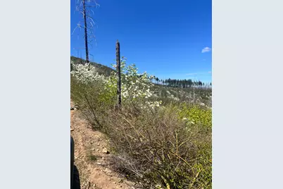 40 Wentworth Springs, Georgetown, CA 95634 - Photo 3