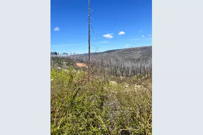 40 Wentworth Springs, Georgetown, CA 95634 - Photo 5