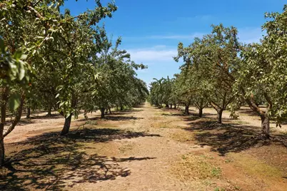 12400 E Keyes Road, Denair, CA 95316 - Photo 13