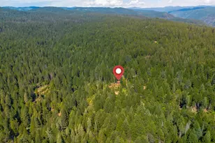 141 Glory Hole, North San Juan, CA 95358 - Photo 31