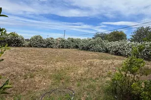 903 W Hwy 12, Lodi, CA 95242 - Photo 33